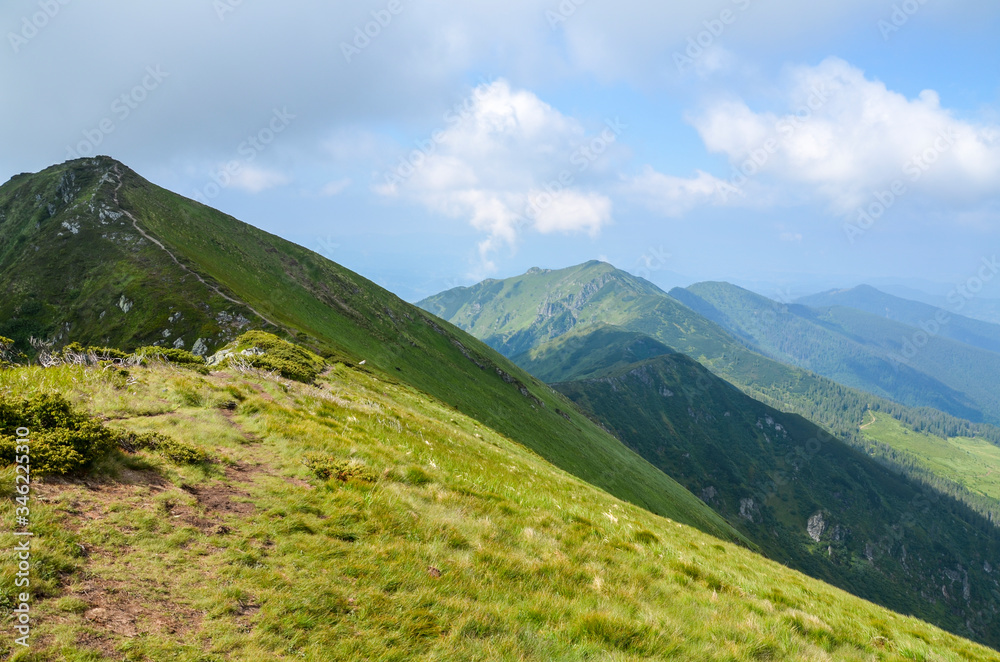 Valley among majestic green and rocky mountain hills covered in green lush grass, and bushes. Sunny cloudy day in summer, Marmarosy ridge, Carpathian, Ukraine