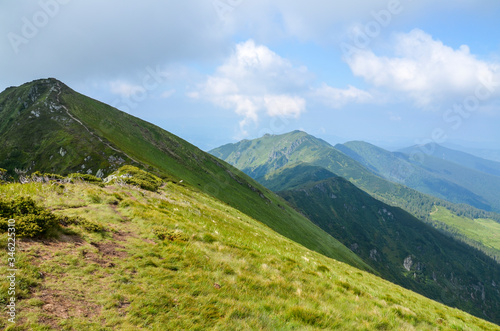 Valley among majestic green and rocky mountain hills covered in green lush grass, and bushes. Sunny cloudy day in summer, Marmarosy ridge, Carpathian, Ukraine
