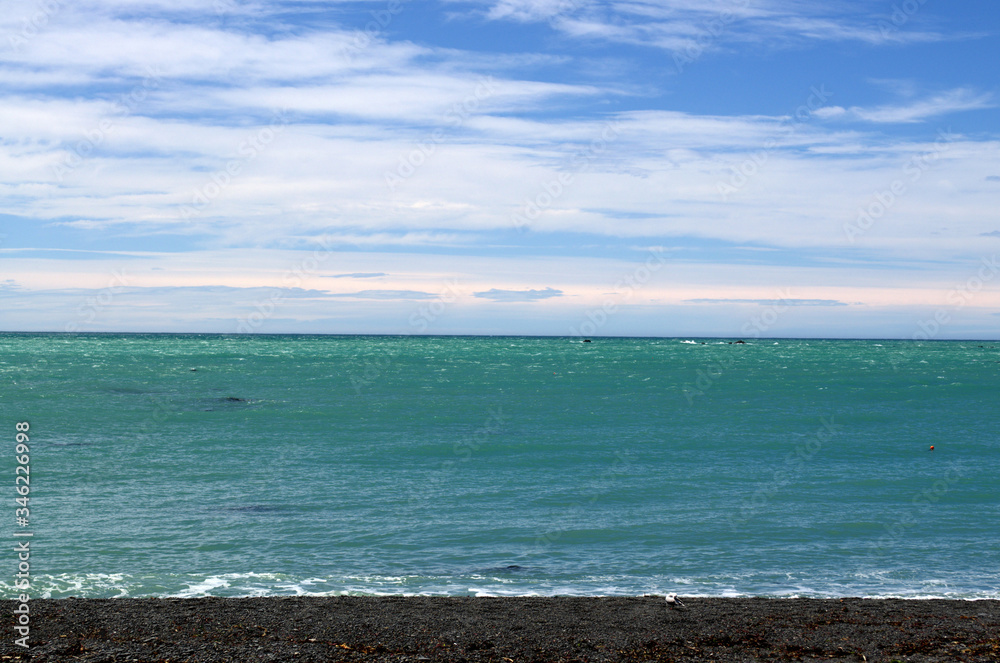 Kaikoura turquoise sea in a sunny day