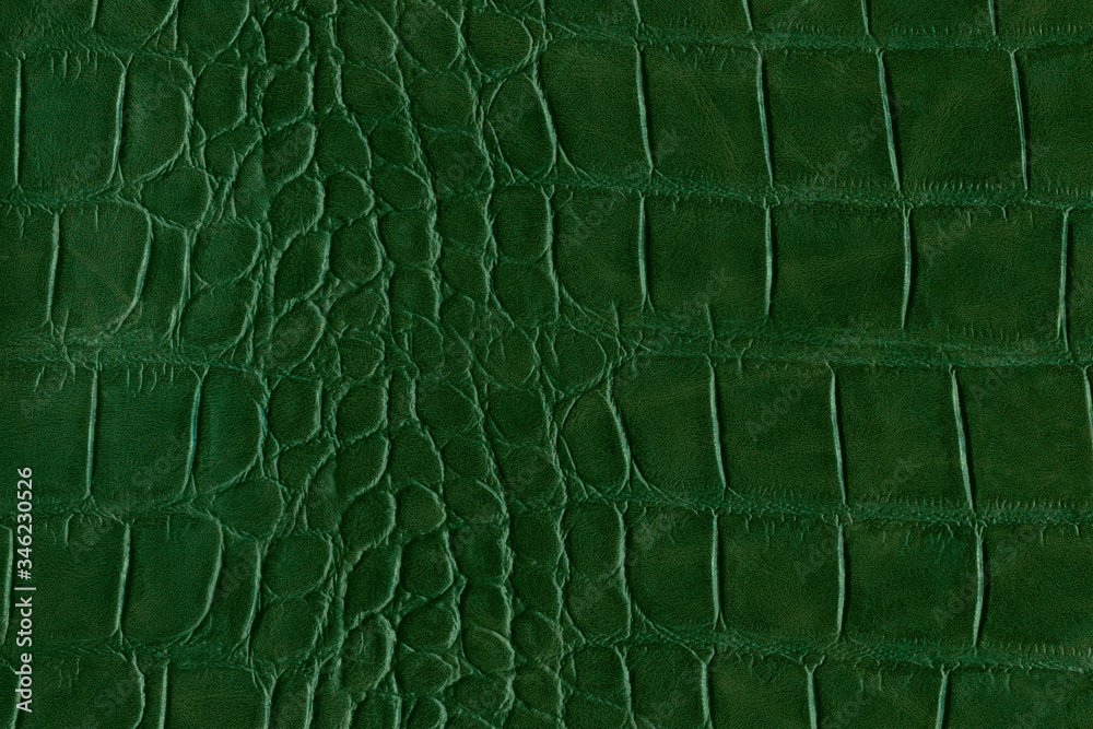 Green alligator leather, skin  Alligator, Leather, Desktop wallpaper black