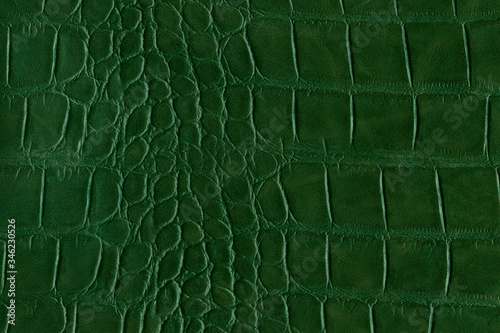 Green alligator or reptile skin of high quality and high resolution. Texture and background of crocodile or alligator dark green skin in square pattern for wallets, purse, bags and interior design.