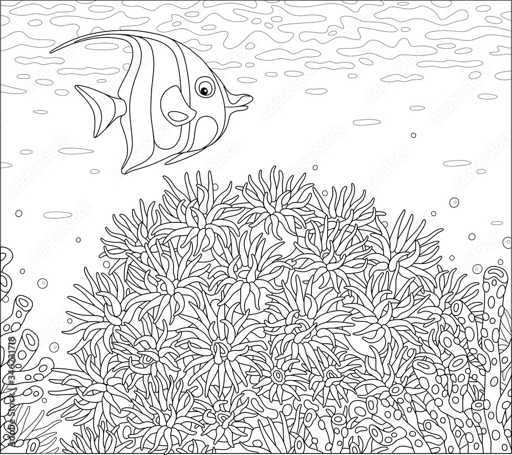 Fototapeta premium Funny striped butterfly fish swimming over fancy corals in water of an amazing reef in a tropical southern sea, black and white outline vector cartoon illustration for a coloring book page