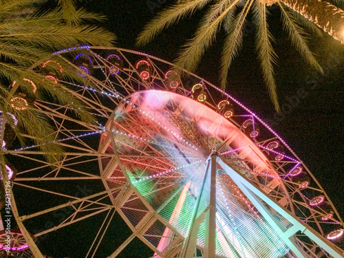 Ferris wheel and palm trees illuminated at night colorful lights glowing