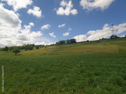 green field and blue sky