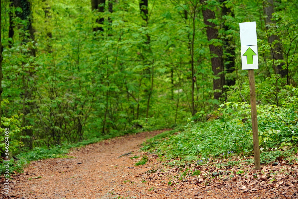 White sign or label with green arrow on stick on path in green spring or summer forest. Notification or direction of movement, information for tourists or people in nature. Juicy fresh greens White sign or label with green arrow on stick on path in green spring or summer forest. Notification or direction of movement, information for tourists or people in nature. Juicy fresh greens