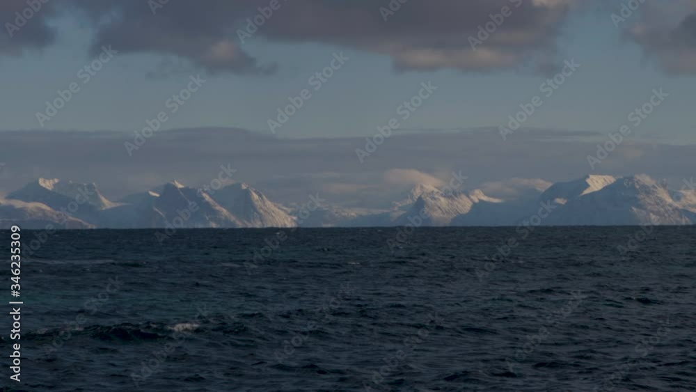 Arctic Fjords in Norway with seagull flying by. Arctic Fjords in Norway with seagull flying by.