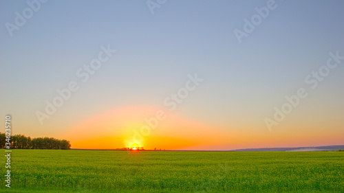 Rural landscape. Beautiful sunset over a rapeseed field. Agriculture. Summer background. 
