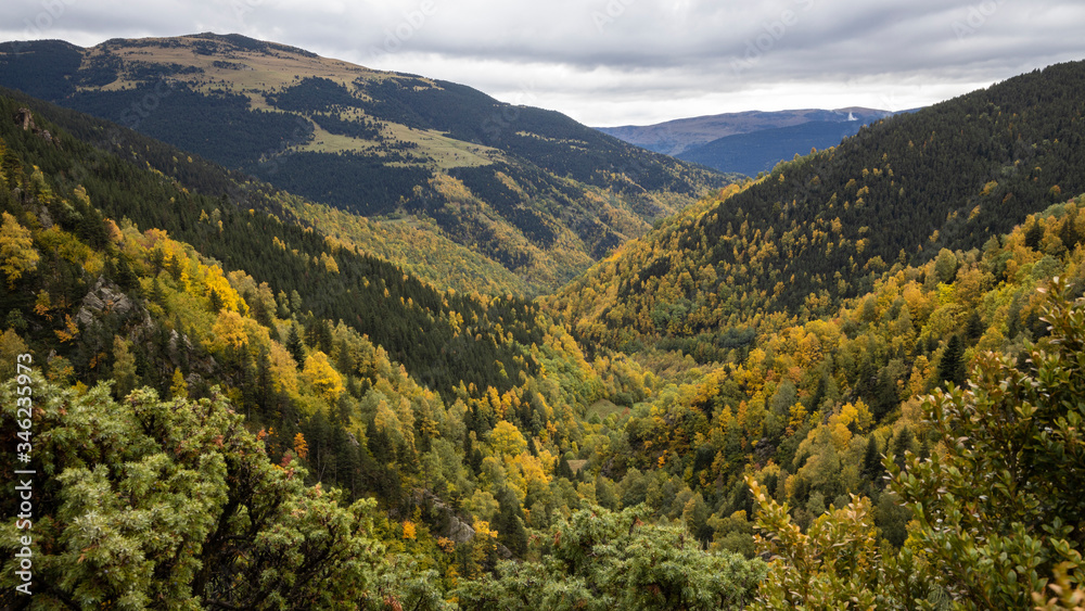 Autumn landscape in the mountains with different tones of greens, yellows and ocres.