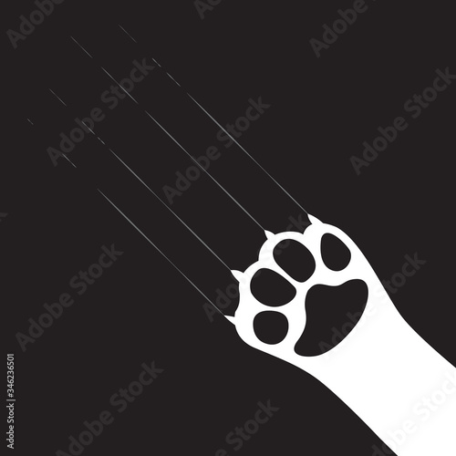 Cat and dog paw vector drawing