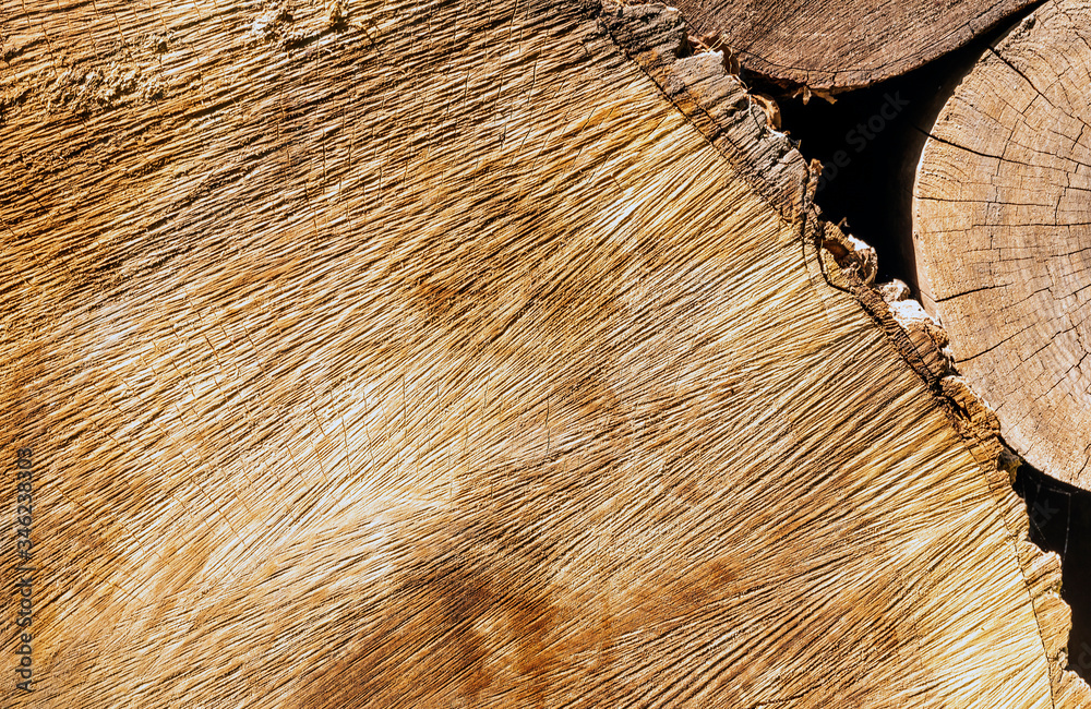 Log surface structure. Stumps and logs. Timber logging industry banner ...