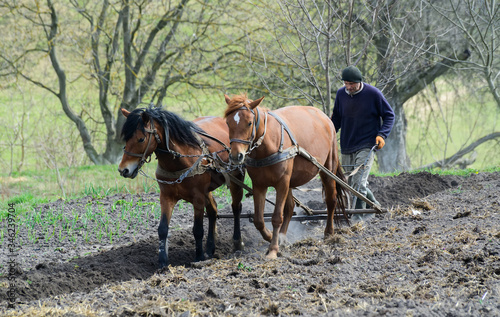 Fotografia Man ploughing the field with horses