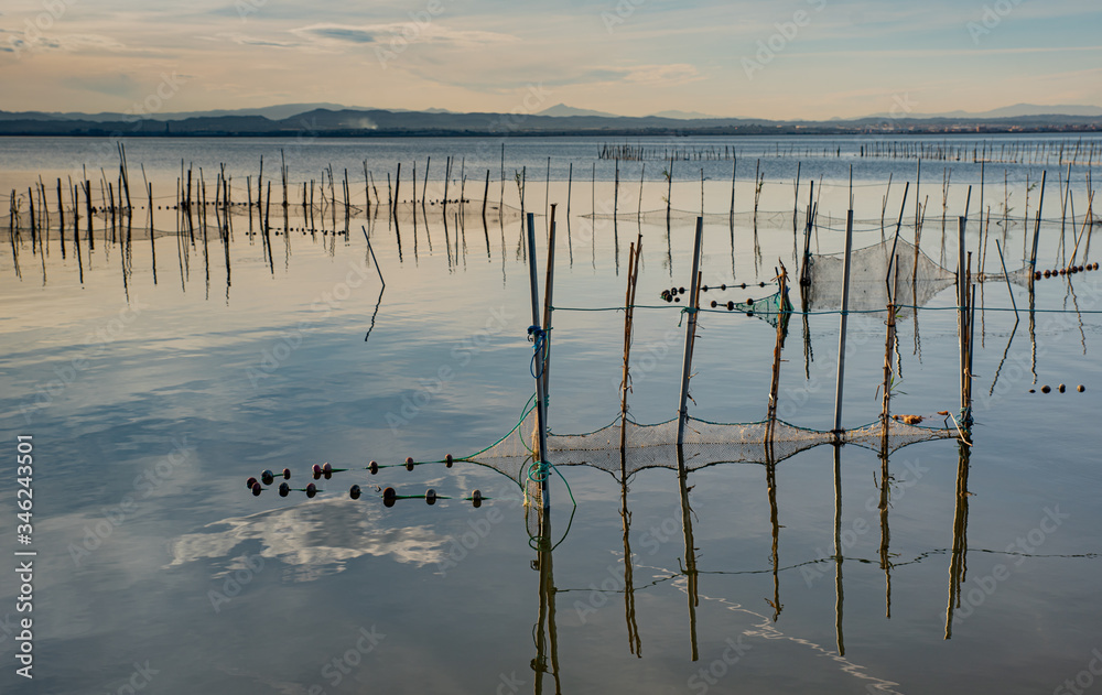 Albufera landscape, nets in the water, copy space
