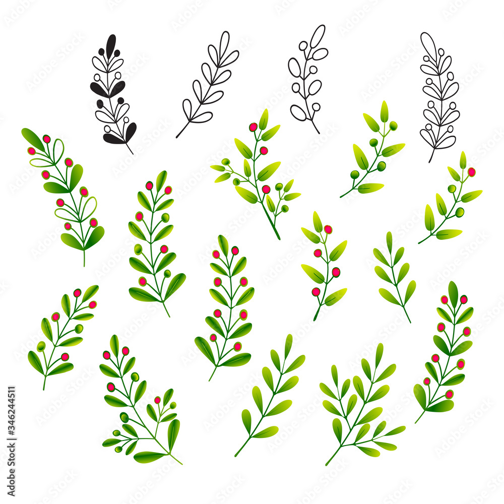 Sprigs with leaves and berries. Set of isolated color vector illustrations for design of invitations, greetings, floral patterns and ornaments. - obrazy, fototapety, plakaty 
