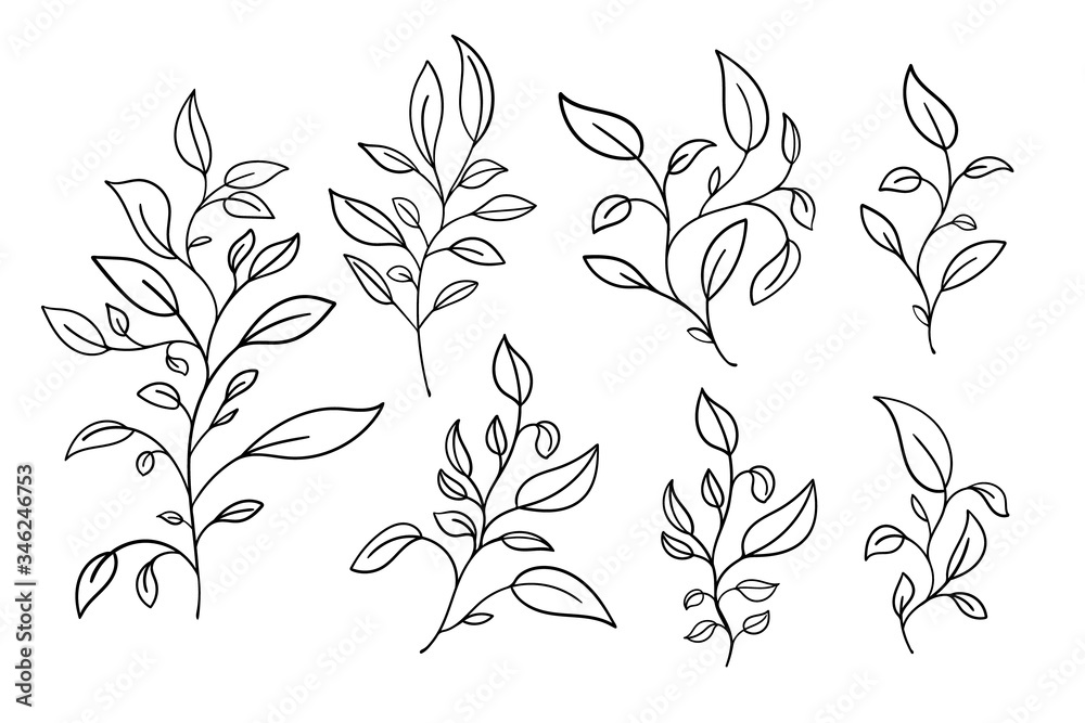 Vector hand drawn set of various silhouette branches with leaves in outline technique on the white background. Vector hand drawn set of various silhouette branches with leaves in outline technique on the white background.