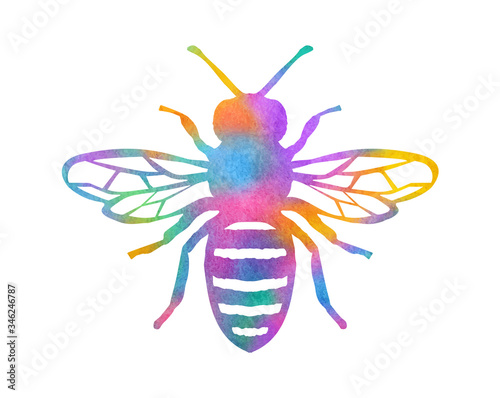 Colorful Rainbow Bee - Vector Animal