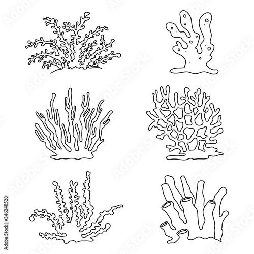 Set of simple coral reef elements isolated on white background. Black  outline vector corals graphic collection.