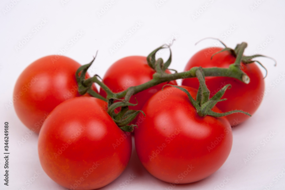 tomatoes on a vine