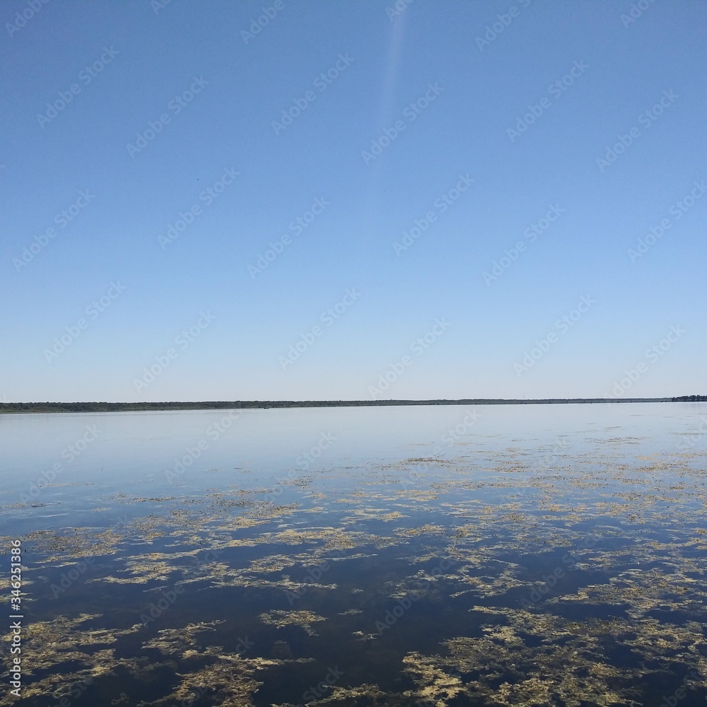 Lake Panasoffkee 2