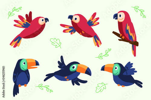 Cartoon tropical birds pattern premium vector illustration