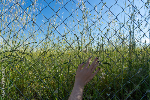 hand resting on a fence with view of green countryside behind