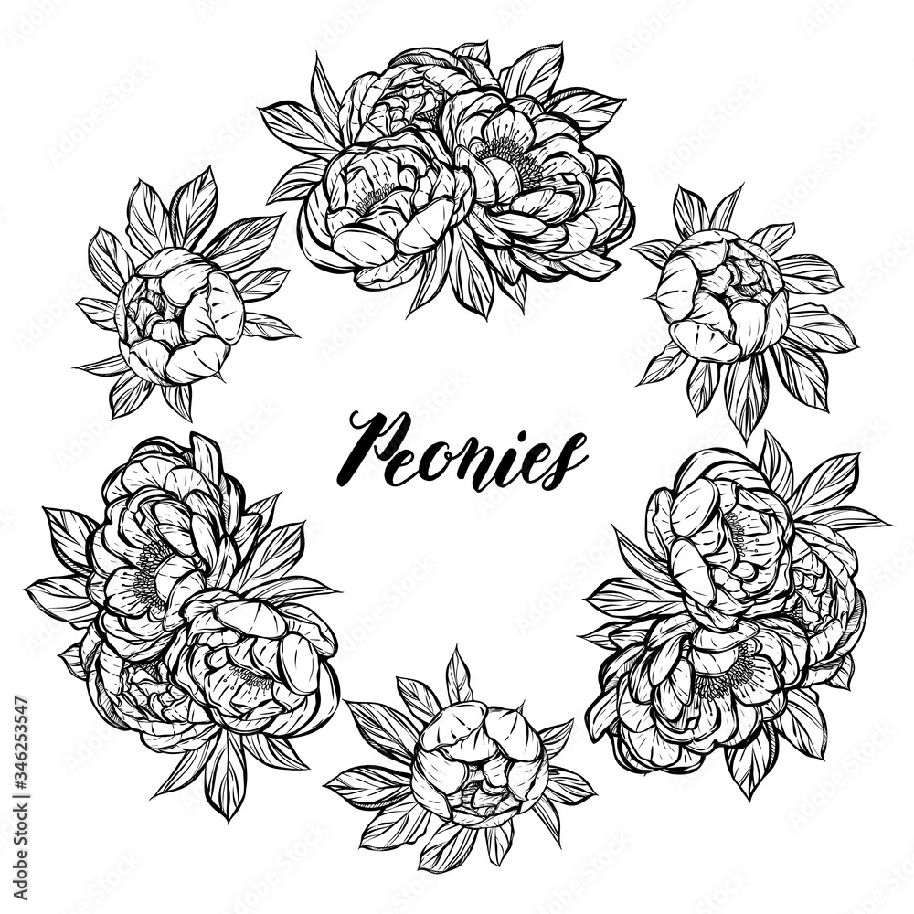 Vector illustration.Flower decoration of peonies. prints on T-shirts,wreath.Handmade,card for you. background white