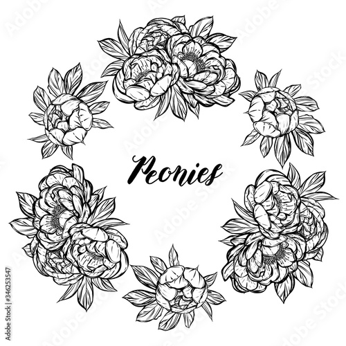 Fototapeta Naklejka Na Ścianę i Meble -  Vector illustration.Flower decoration of peonies. prints on T-shirts,wreath.Handmade,card for you. background white