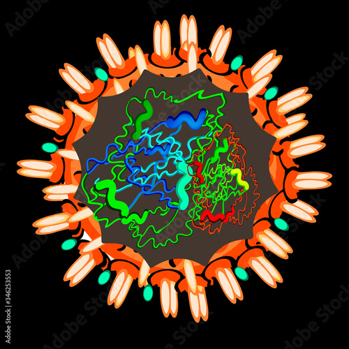 Coronavirus. The structure of the Chinese coronavirus. Influenza virus. Flu. Vector illustration.