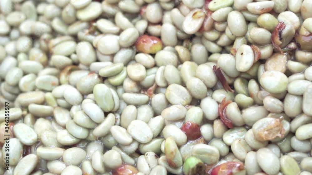 Coffee beans after peeling off. Coffee beans after peeling off.