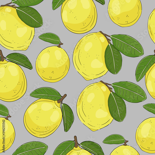 Lemon fruit vector gray