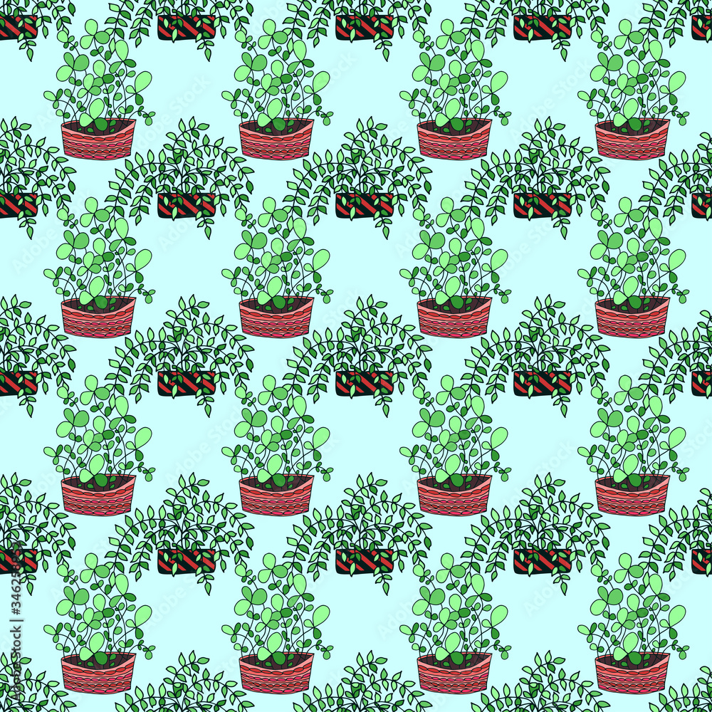 Seamless pattern with cute hand drawn flowers plant in pots. Doodle vector illustration house plants for your designes of packaging, , clothing, textile and mutch more. Seamless pattern with cute hand drawn flowers plant in pots. Doodle vector illustration house plants for your designes of packaging, , clothing, textile and mutch more.