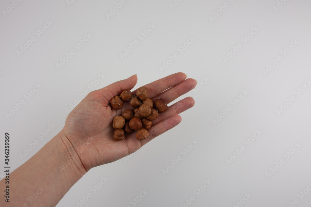 Hazelnut in hand on a white background. Healthy lifestyle. Ingredients for baking. Hazelnut in hand on a white background. Healthy lifestyle. Ingredients for baking.