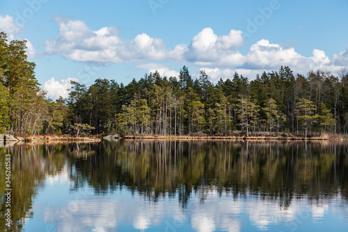 Fototapeta Naklejka Na Ścianę i Meble -  Beautiful Scandinavian nature. Tyresta National Park. Sweden