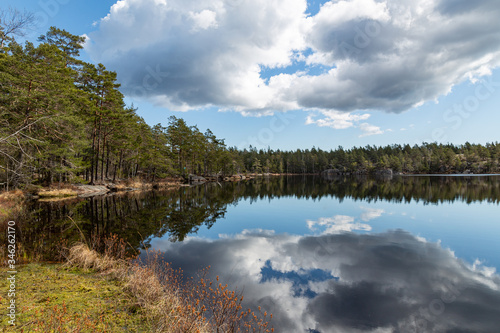 Tyresta National park. Scandinavian nature in its beauty. Perfect background. Forest  lake and clouds reflected in the water