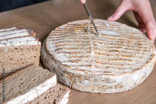 Mains coupant un Saint Nectaire fermier  photo