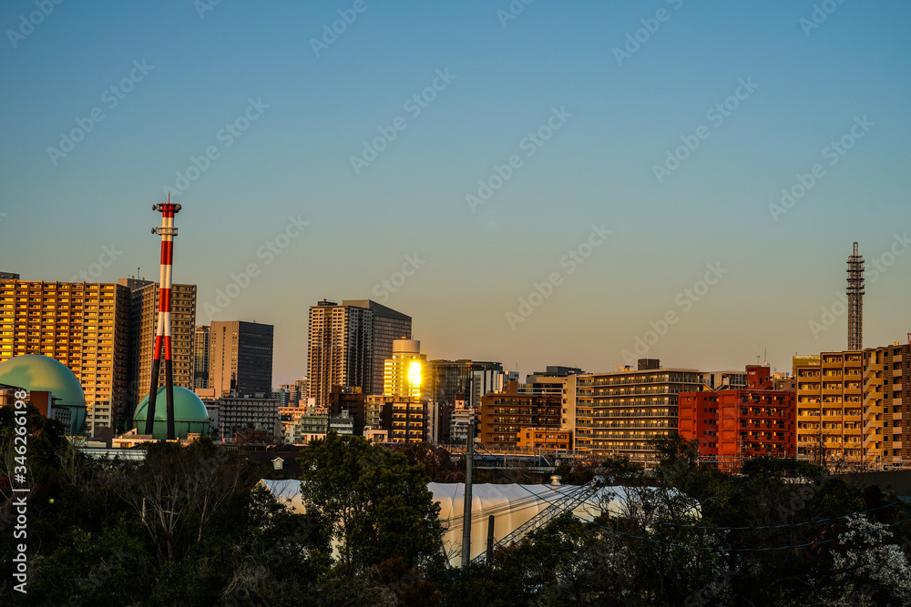 Fototapeta premium 横浜市の街並みと夕景