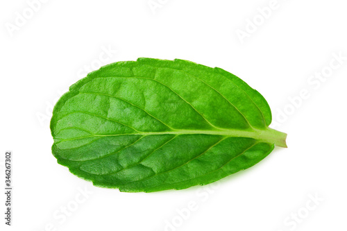 Fresh mint leave isolated on white background