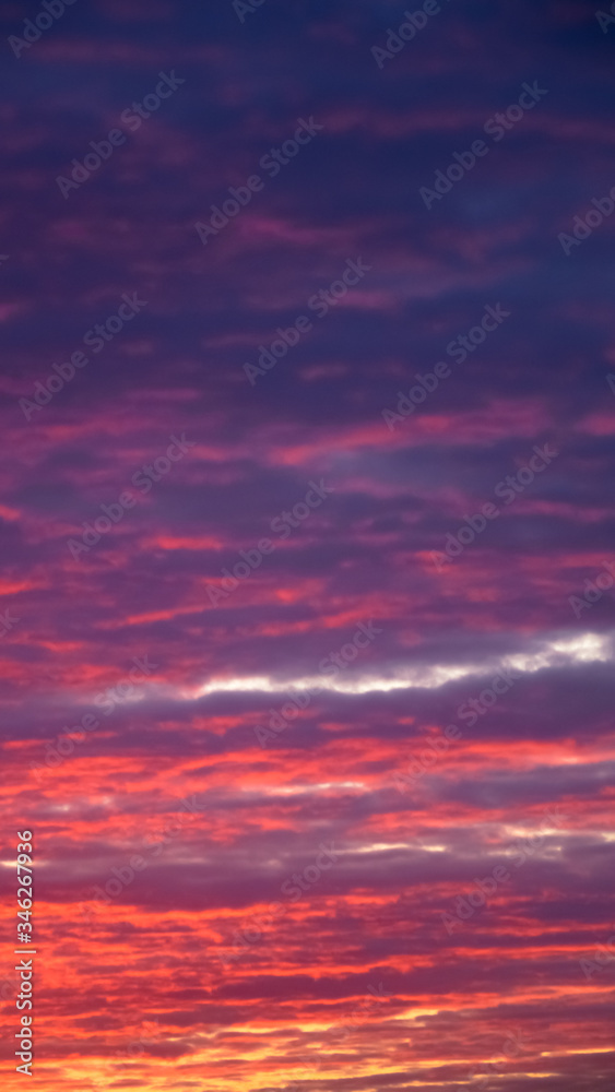 Amazing nature background: dramatic and moody pink, purple and blue cloudy sunset sky shot vertical