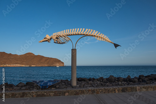 GRAN TARAJAL FUERTEVENTURA, october 2019 - The memorial skeleton of a sperm whale, cast ashore. photo