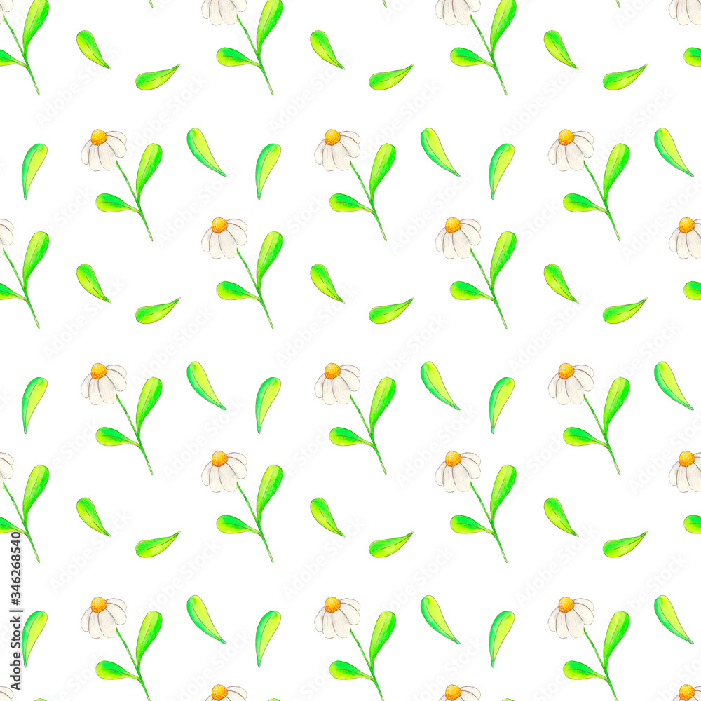 Watercolors draw a spring seamless pattern on a white background consisting of daisies and leaves. Watercolors draw a spring seamless pattern on a white background consisting of daisies and leaves.
