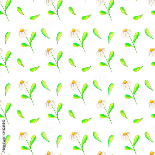 Watercolors draw a spring seamless pattern on a white background consisting of daisies and leaves.