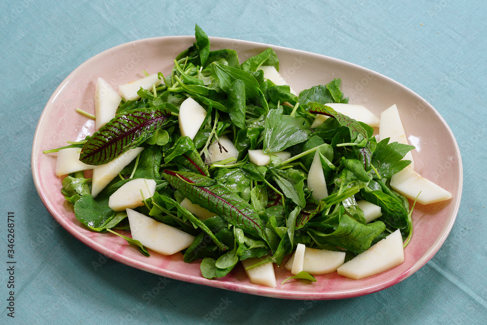 Mixed pear and green salad including leaves of blood dock red sorrel plant rumex sanguineus Mixed pear and green salad including leaves of blood dock red sorrel plant rumex sanguineus
