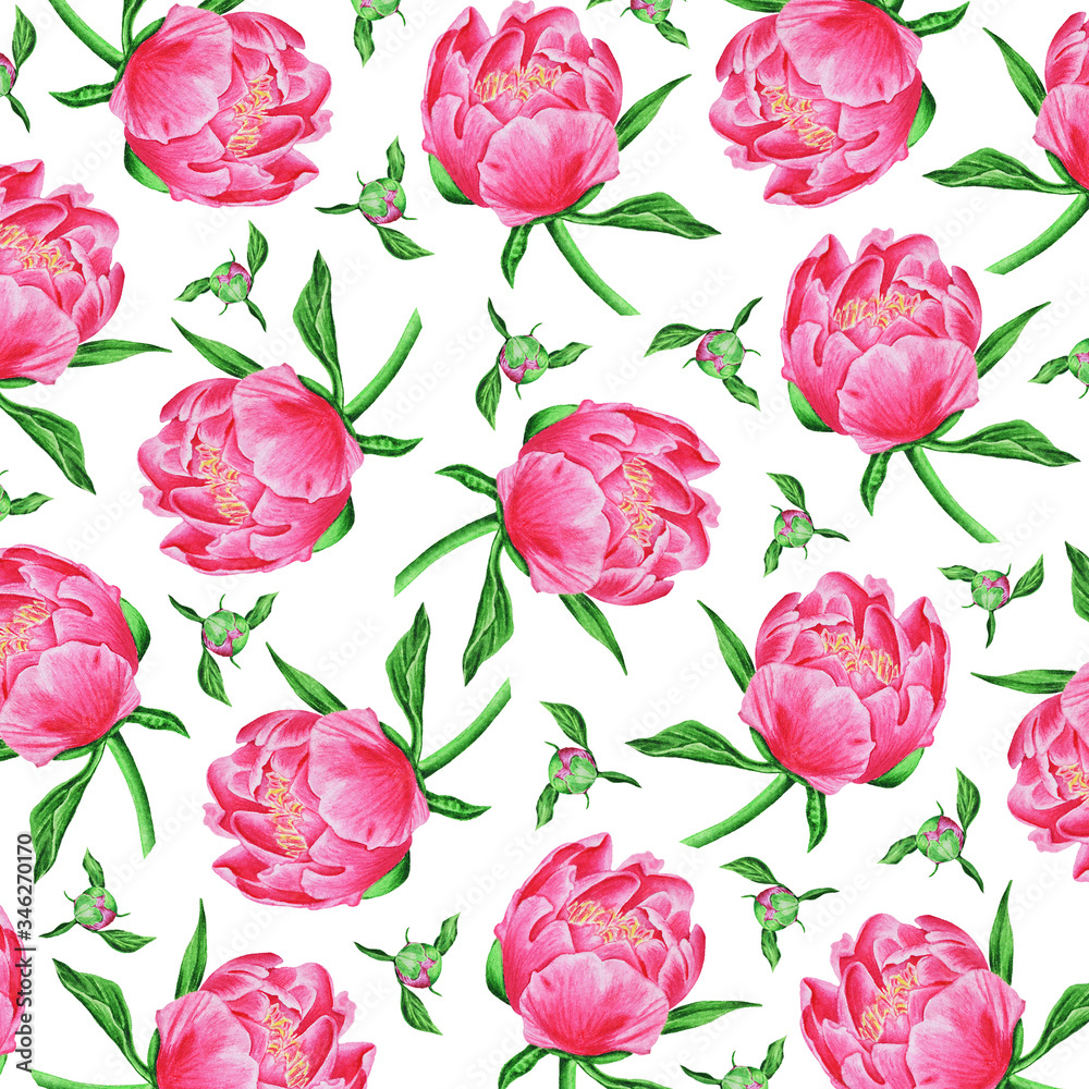 Beautiful floral pattern of pink peonies and buds. Hand drawing, botanical painting. Beautiful floral pattern of pink peonies and buds. Hand drawing, botanical painting.