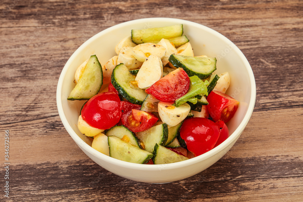 Salad with vegetables and mozzarlla Salad with vegetables and mozzarlla