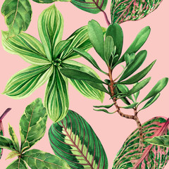 Wandcirkels Botanische print patronen Aquarel palmbladeren in jungle stijl  © nongnuch_l