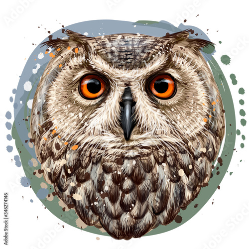 Owl. Realistic, artistic, color portrait of an eared owl in watercolor style on a white background.