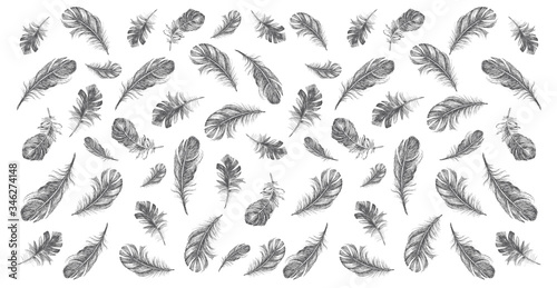 Wallpaper Mural Vector Black and White Feather Pattern. Feather icon set. Hand drawn illustration. Doodle sketch. Torontodigital.ca