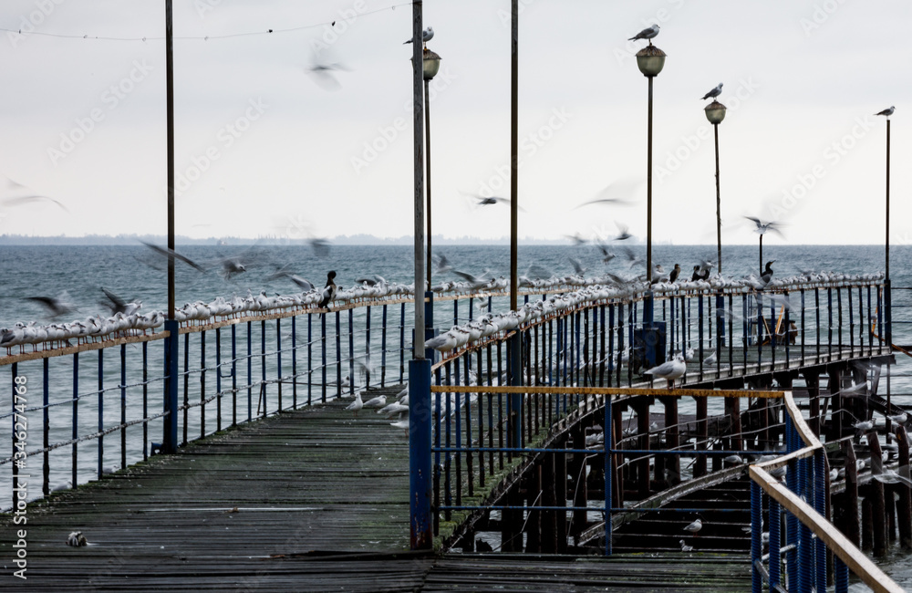 Naklejka premium bridge, sea