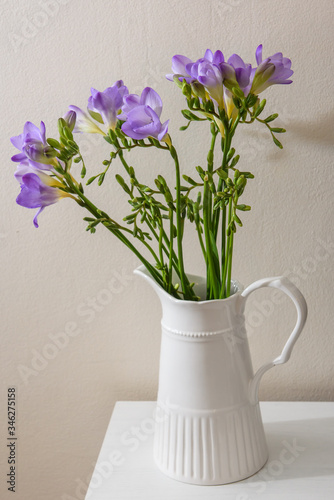 Fototapeta Naklejka Na Ścianę i Meble -  Purple freesia flowers at white vase.