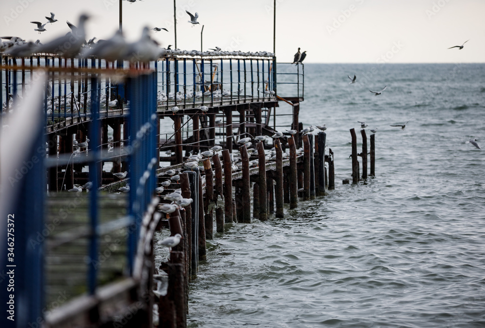 Fototapeta premium bridge, sea