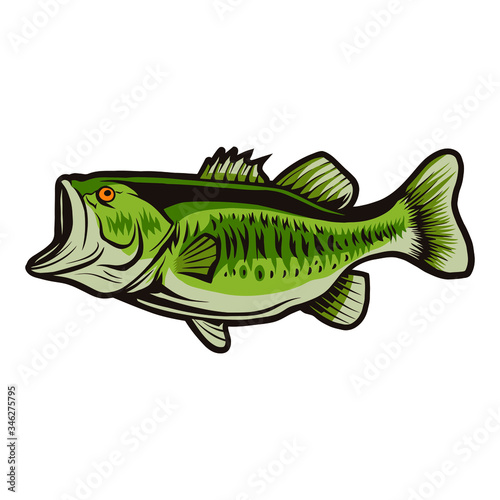 bass fish vector illustration design isolated object on white background